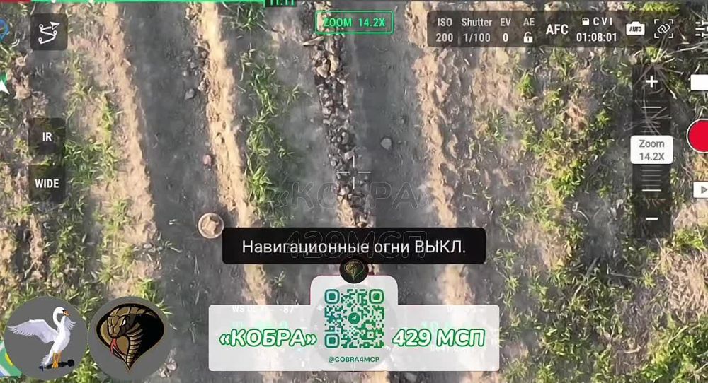 ���������� �������������� �����������