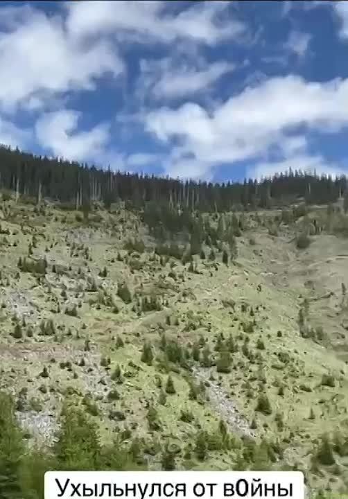 �������� ���� ����� ������ ������ �� ���������� ��. ���������
