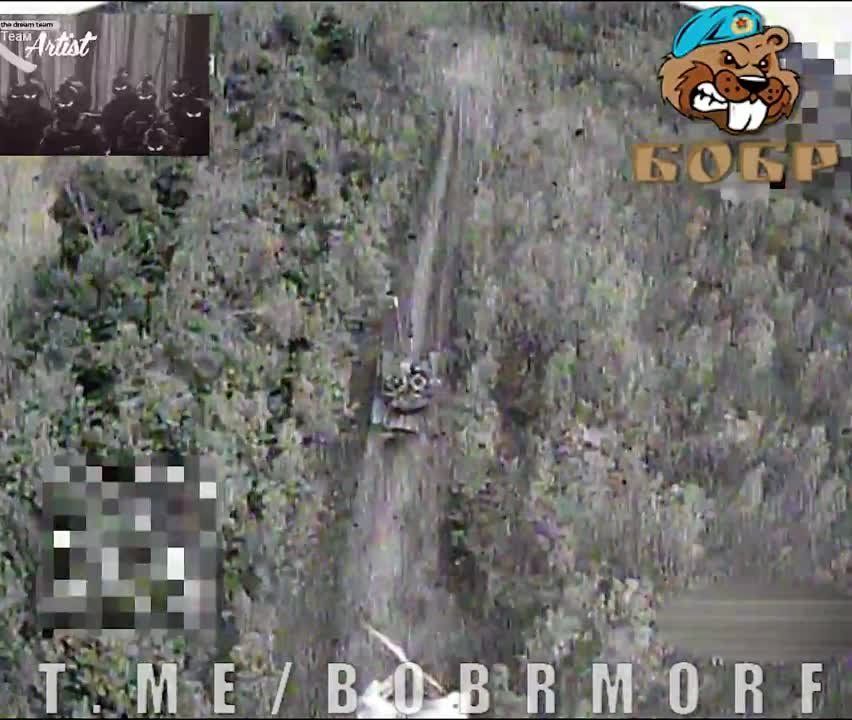 ��������� FPV-������ ������ ������� �� ����������� ����������� �������� �� ���� ���������� ���� ������ ���������� � �����