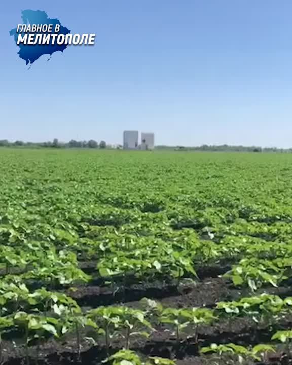 �����, ����������������, ��� � ������������� ����, ������������ ������� ���������� ����