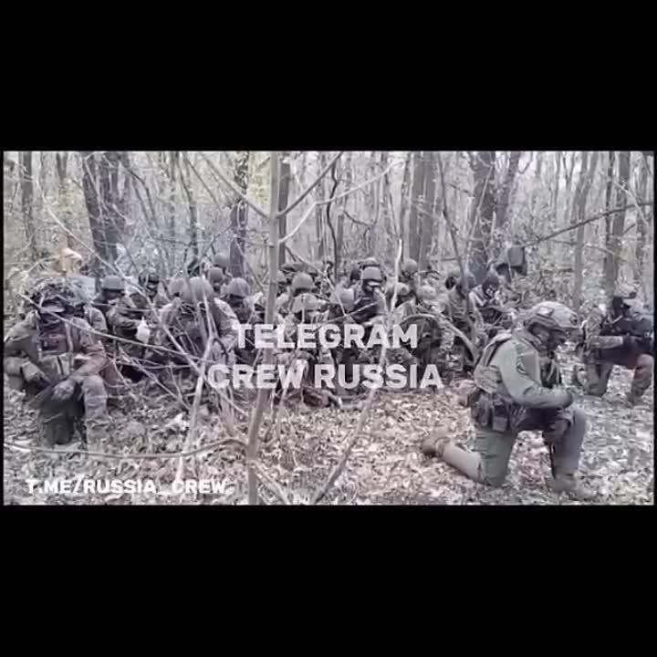 ������� ����� ���� - ������ ��������