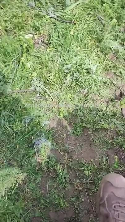 ��� ���� �������� ������� fpv-������ �� ������������ ����������� ���������� ���� �-64��