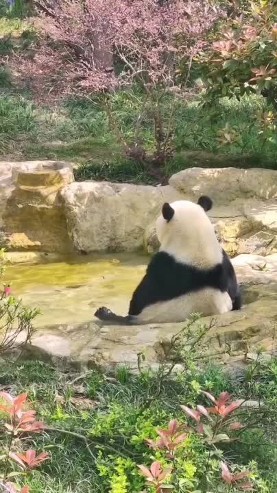 ������ ����, ������!. ����� �����������! �������������� ��