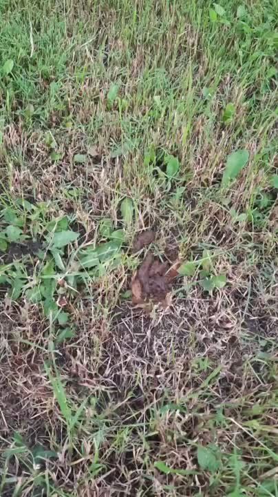 �� ����������� ������� (������ ��������������) ����������� ���� �������� ����� � ���������� ��������, ������������� � ������ � �������� ���������� �������