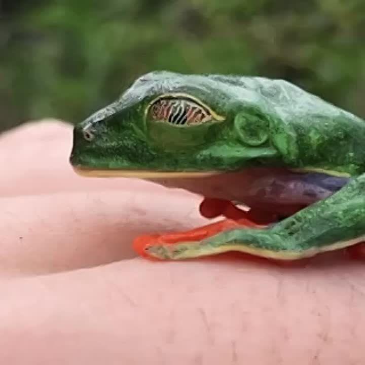 �� ����� ������ ����� ������������ ������ ������� ���������� ���������, �� �������� �������� ������