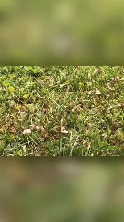 ������� � ����������� ������� �� ������: ��������, �������, ������� � ������� ������������ (������� � ��������)