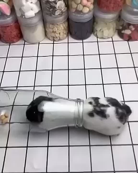����� ��������� �����, ��� ����� ��������� ������������ � ������ ����