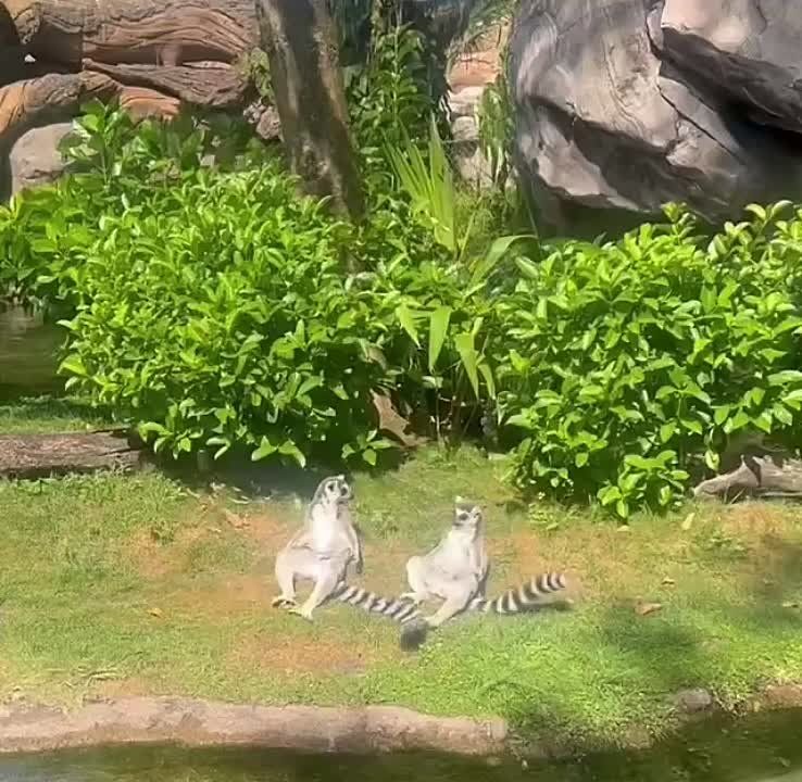 ������ ����, ������!. ����� �����������! �������������� ��