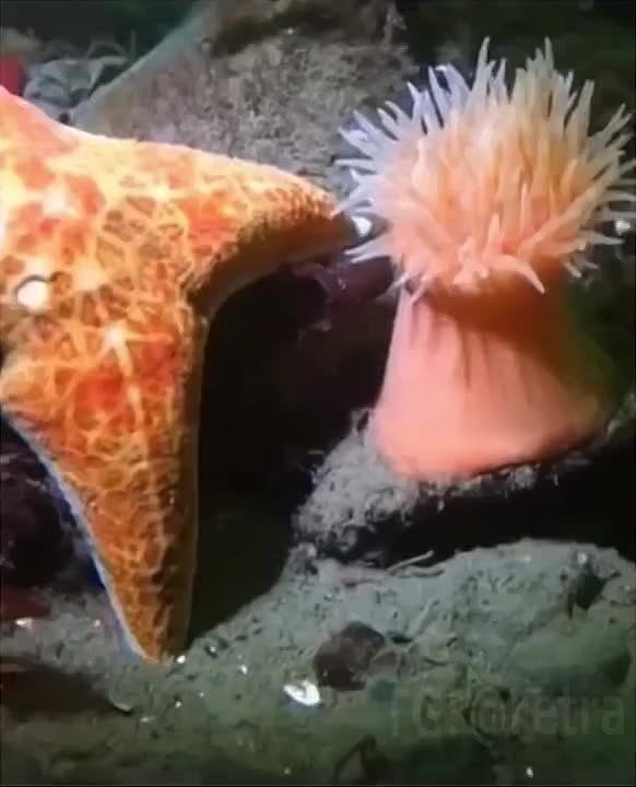 �������.. �����������, ������� ����� �������, � ��� ��� ��� ��� ������