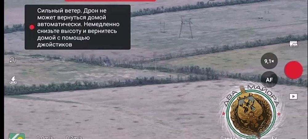 ��� ������: ����������� �����, �������� - ��������