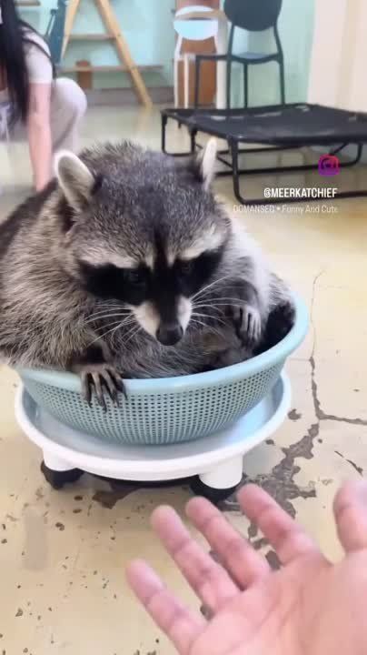 ������ ����, ������! �������� ��� ��� � ��������� ����������!