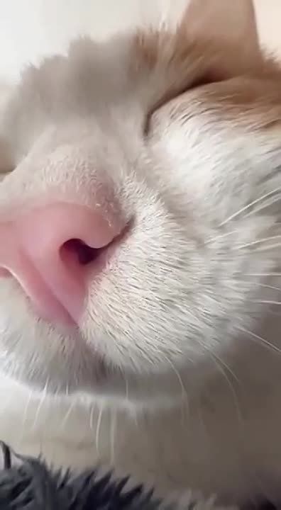 ��������� ����! � ������� �� ��� ���� ��� , ���� ������ � ��������� ���� ������� � ������ � ������ ����!
