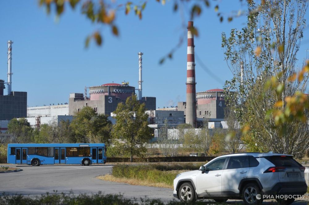 Гросси и Лихачев обсудили возможность перезапуска ЗАЭС