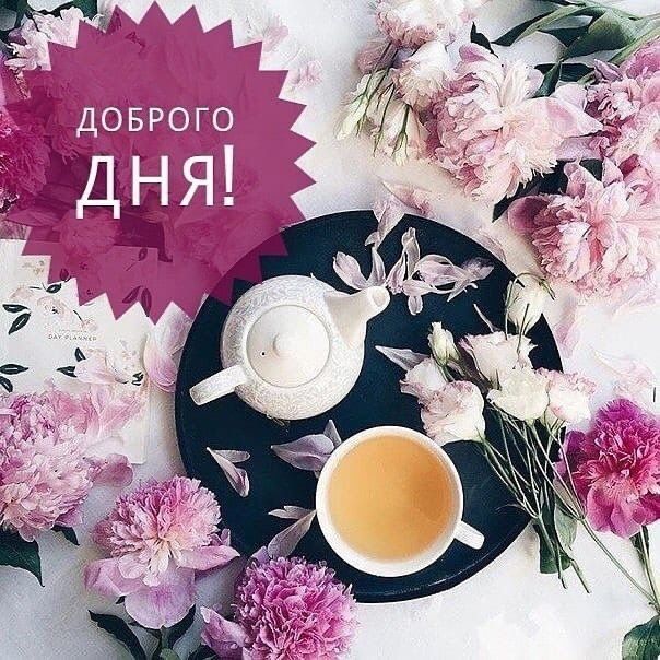 ������, ������!. ������� �������, � �� ���� ���������� � ���� ����������� ����������� ������� � �������� ����, �������...