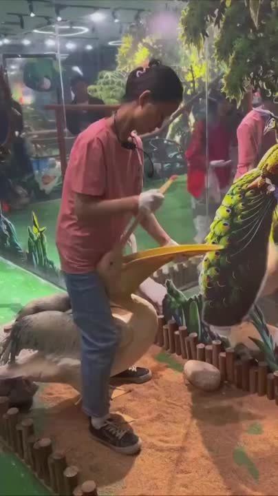 ������� ��������� ������ ������ ������ �� �������� � ��� ��������� � ���� �� �������� ���������