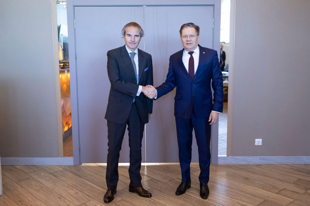 Гросси назвал встречу с Лихачевым по ЗАЭС своевременной