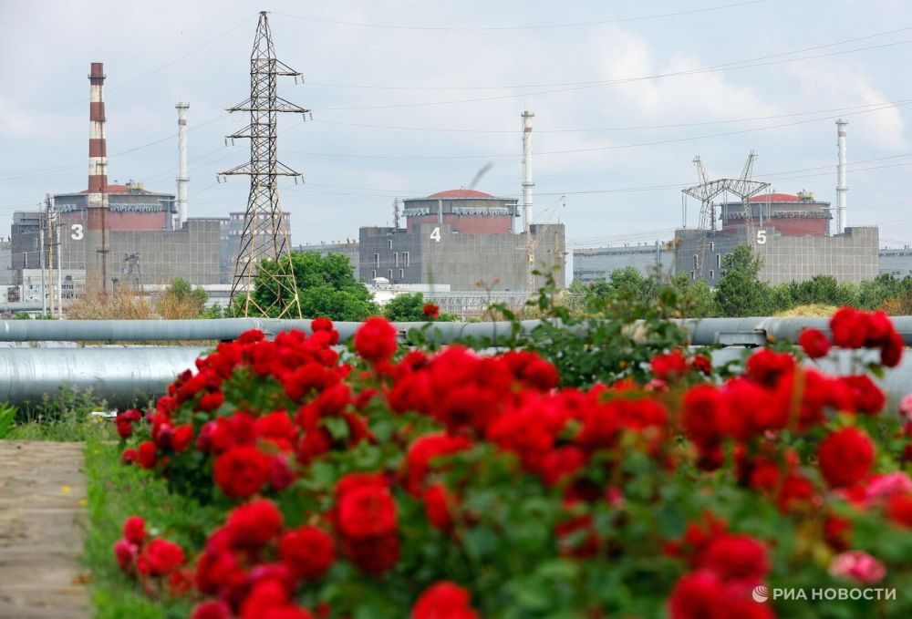 Гросси: стороны достигли понимания по мерам для укрепления безопасности на ЗАЭС