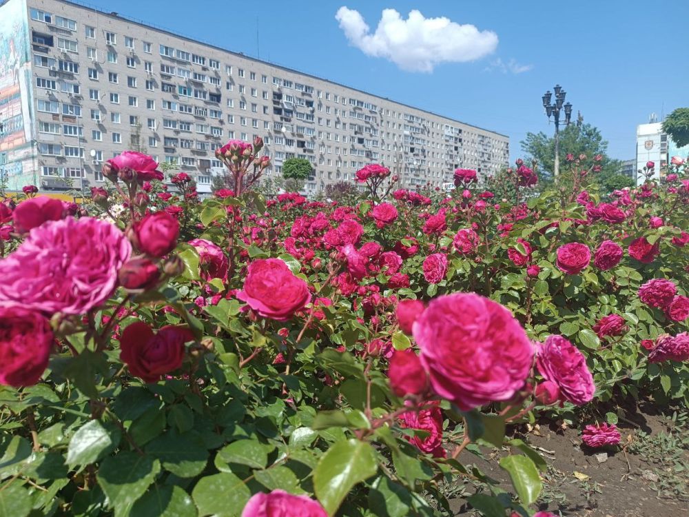 28 ��� - ���� ������������