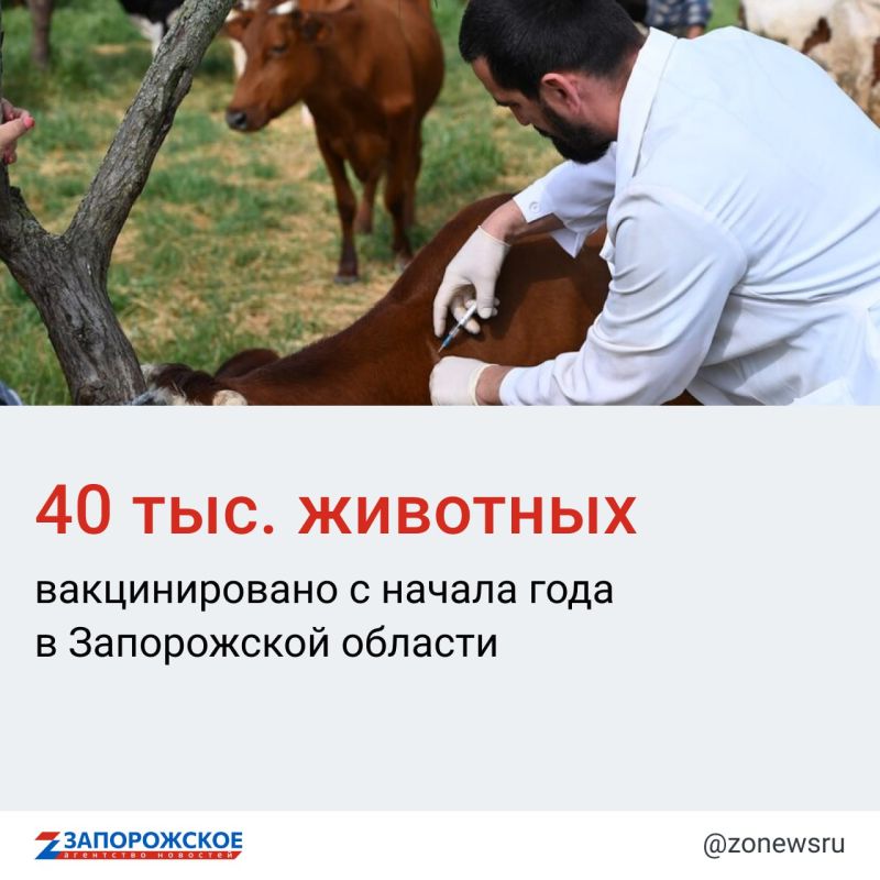 �� ������ ������������� ���������� �����������, �� ����� ��� ��������� �������� 120 ���