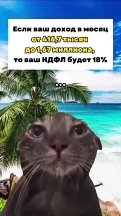 ��� ����� ������ �������� ������