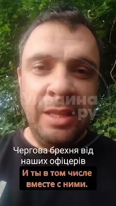 ��������� �������� ���� ����������� ���� ��������