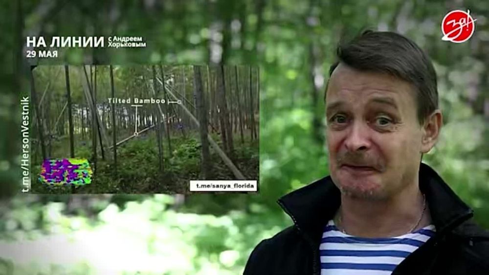 ��������� ���������� �� ������ ������ � ������� ��������� � ��������� ��� ����� | 29 ���