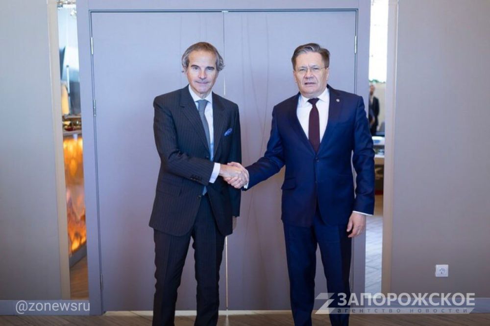 Руководители Росатома и МАГАТЭ обсудили ситуацию на Запорожской АЭС