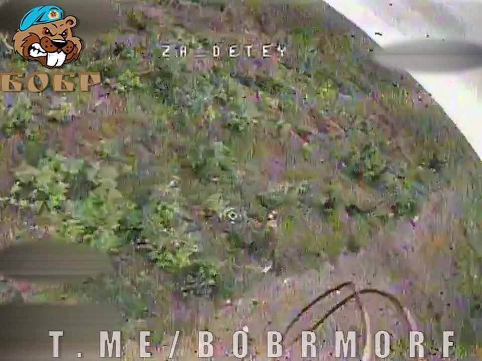 ����������� ��������� ��� ���������� ����������� �������