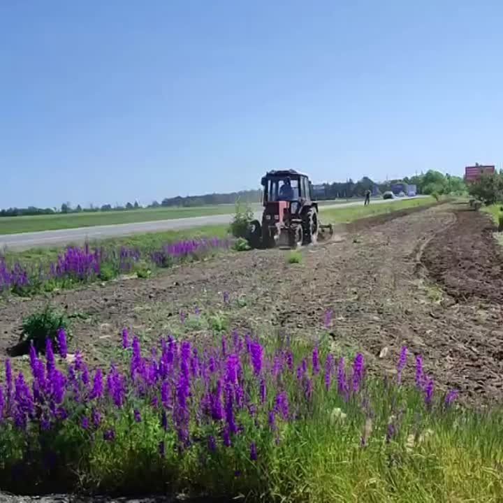 � ���������� ������������� ������ ������������ ��������������� �����������