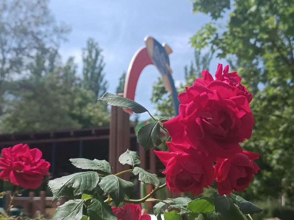 30 ��� (� ��������� ������� ������) � ��� �������� ����������� ��� ��������� ���� ������� ����� �� ������