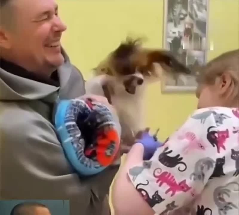 ���� ������. �������������� ��