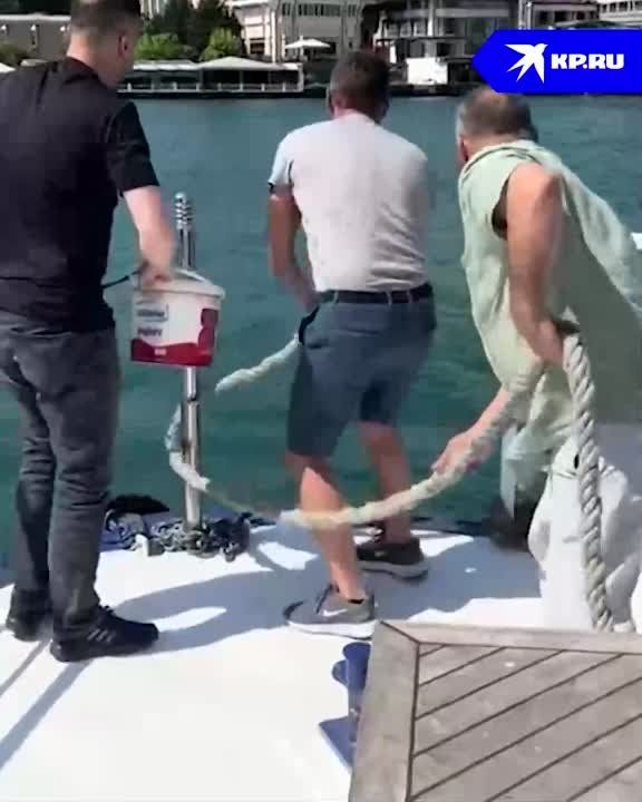 ��� ���� �������� ��������: � ������ �������, ��������� �� ����, �������� � ����� ������� �������� �������