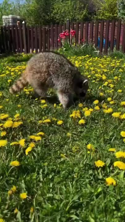 ������ ����, ������! �������� ��� ��� � ��������� ����������!