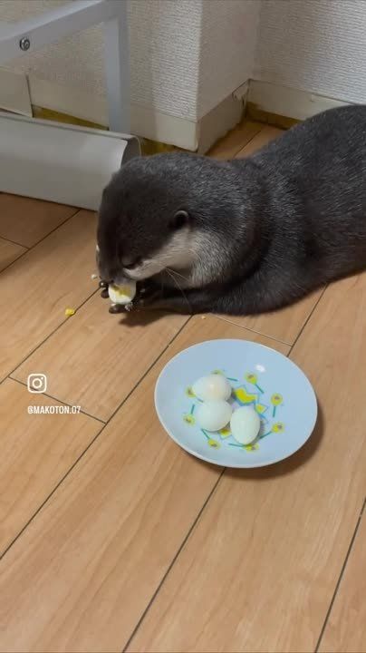 ����!. ��������� ��������!! �������������� ��