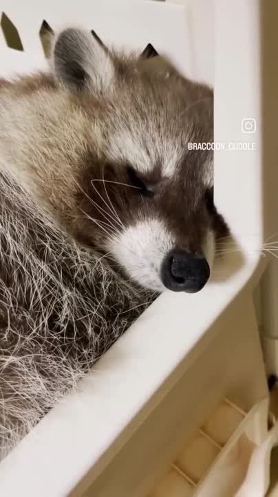 ������ ����, ������! �������� ��� ��� � ��������� ����������!