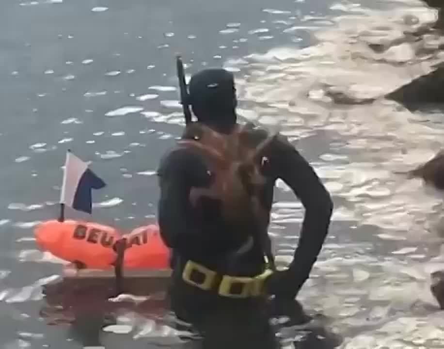 ˸��-��������. �������������� ��