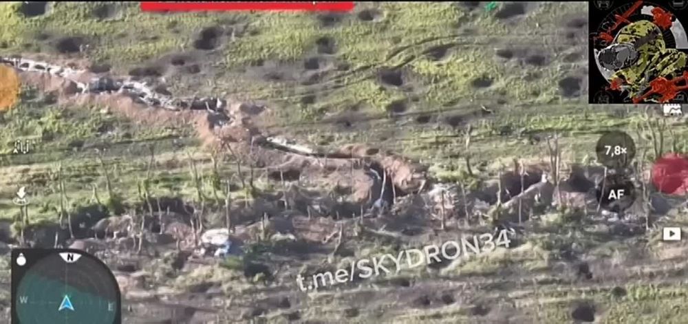 ����� �����: ��������� 34 ������� ������ ������ͻ ������������ ����� ���������� �� ����������� �����������