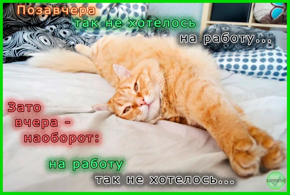 ���������������� ��������� � ����
