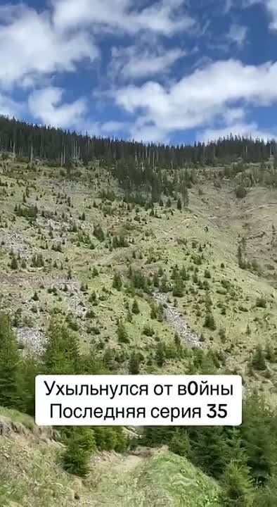 � ��������� ������������ ����� ����������� ��������, ������� ������� ������ � ������ �� �����������