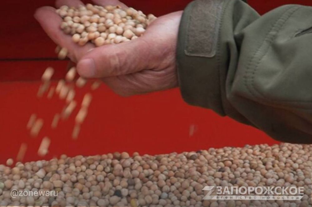 ������� � ������������ �� ���������� ������� �� ����� ��������, ������� ����-�������