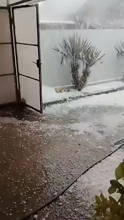 ���� � ����������� ������� �����, � ������������� ���� ����������