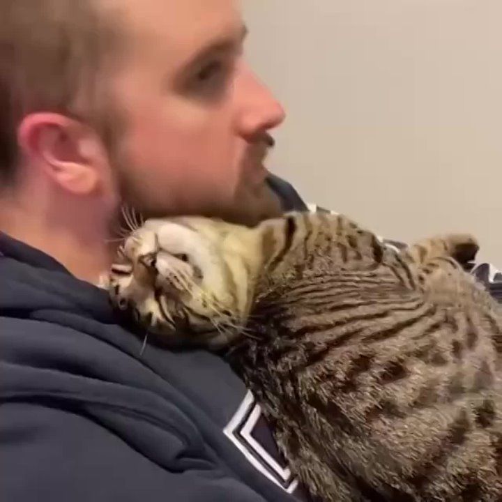 ��� ��� ���� �������� ����� ������