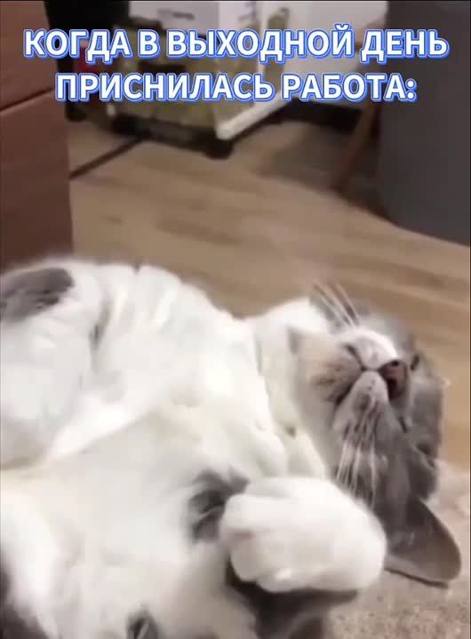 ������ �������� � ��������� ��������!