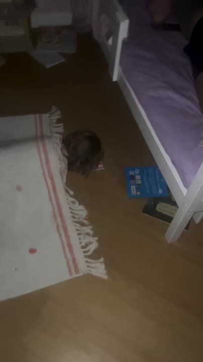 ������ "���� ����" ������������