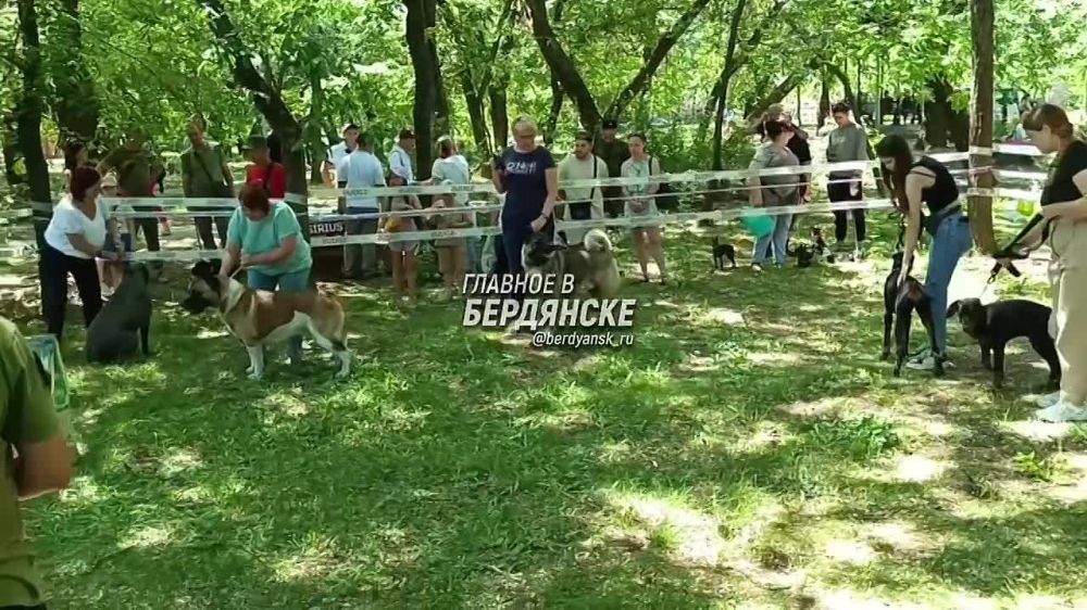 � ��������� ������ �������� �����