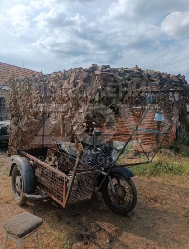 ������ ���������: ������� ������������ �� ������� �����