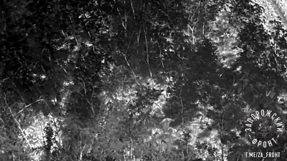 ����� �����: ����� ������������ �������� �������� ������������ ����� � ���� �������������� ��� �� ����������� �����������