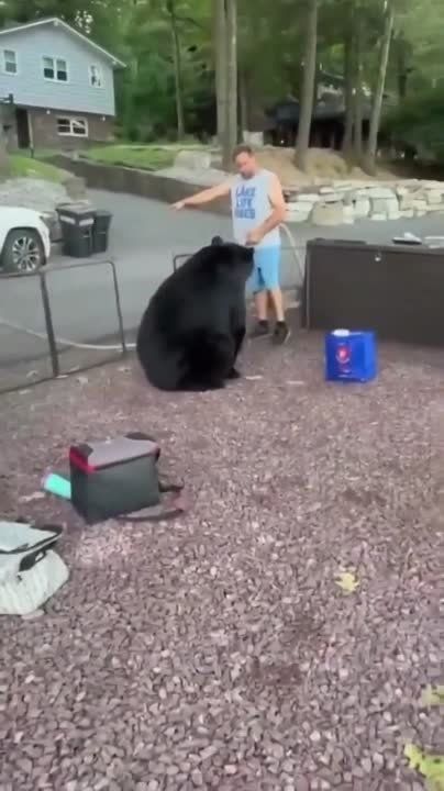 ����� �������� ������� � �������