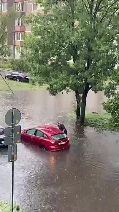 ����� ����� � ������ ����������� ��������