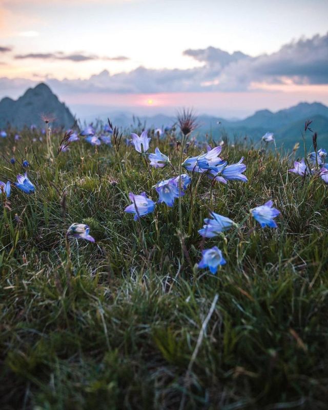 ����� �������. �������������� ��